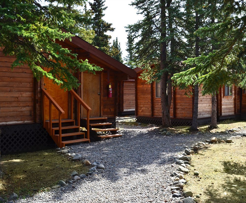 Denali Cabins Denali Park Luaran gambar